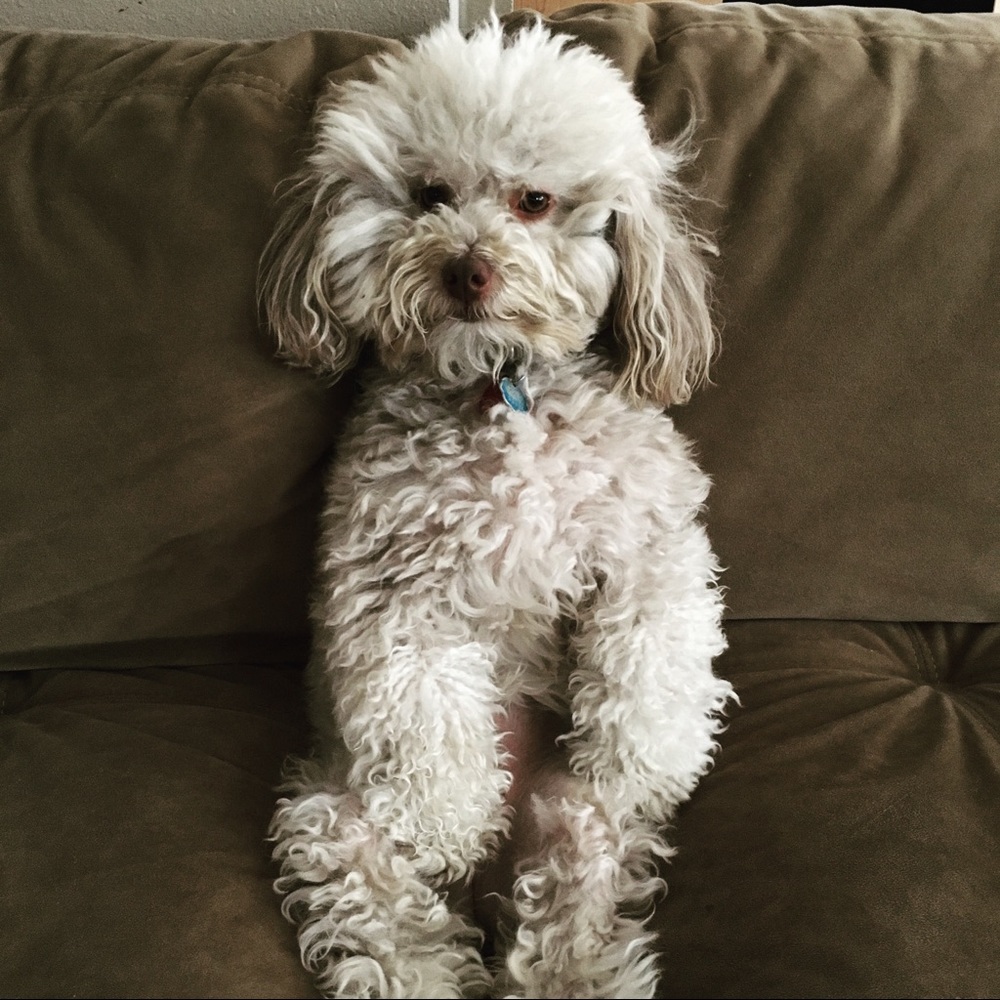 Meet your Posher, Courtney